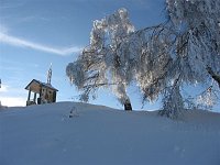 Salita con ciaspole da Moruna di Aviatico al Monte Poieto carico di tanta neve fresca (febbraio 09) - FOTOGALLERY